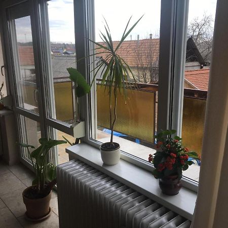 Tompos Vendeghaz Es Pince Hotell Villány Exteriör bild